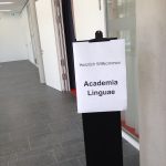 Latinum in 4 Wochen in Stuttgart