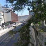 Latinum in 4 Wochen in Zürich