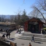 Latinum in 4 Wochen in Zürich