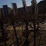 Latinum in 4 Wochen in Zürich